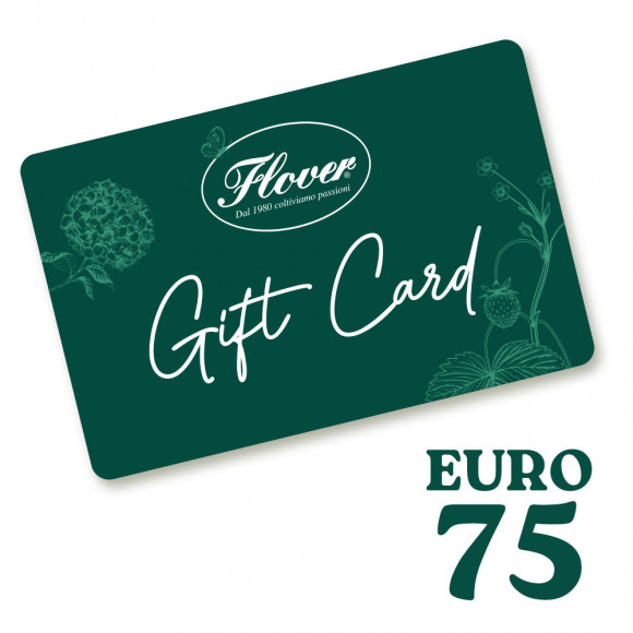 GIFT CARD - 75 EURO