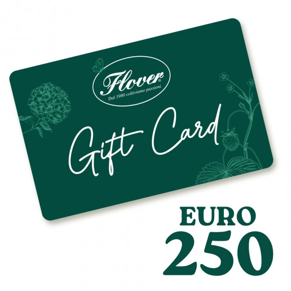 GIFT CARD - 250 EURO