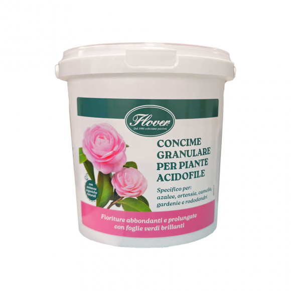 CONC. FLOVER P.ACIDOFILE GR 800 G