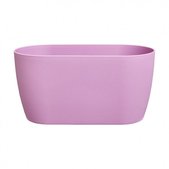 BRUSSELS ORCHID DUO 25CM VIVID VIOLET