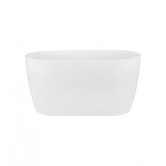 BRUSSELS ORCHID DUO 25CM WHITE