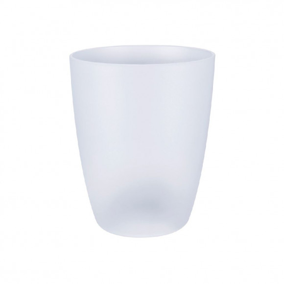 BRUSSELS ORCHID HIGH 12,5CM TRASP.