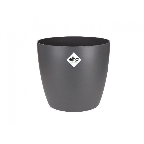 BRUSSELS R. 18CM ANT.