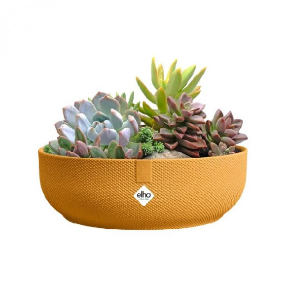 JAZZ BOWL 28CM GIALLO AMB.