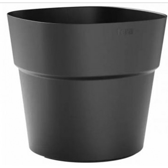 VASO ANDROMEDA 38 ASH
