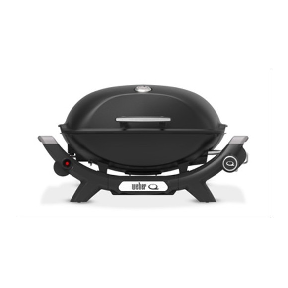 WEBER Q2100