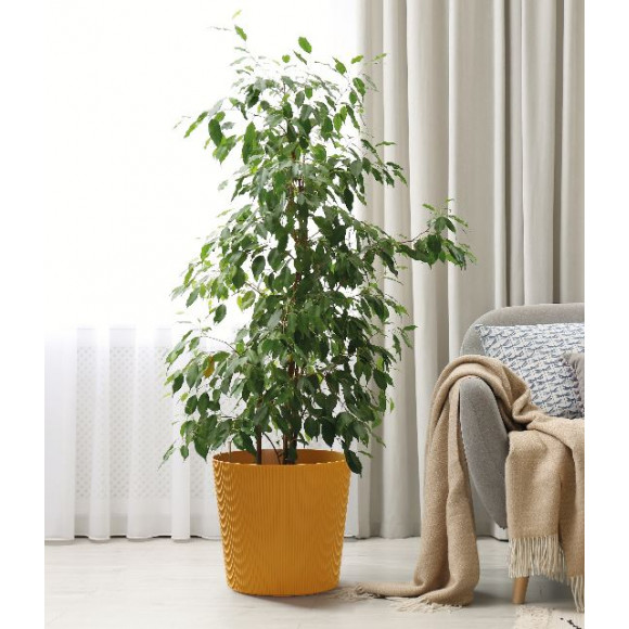 C/VASO FYRE GREENER 40CM C/RUOTE MANGO