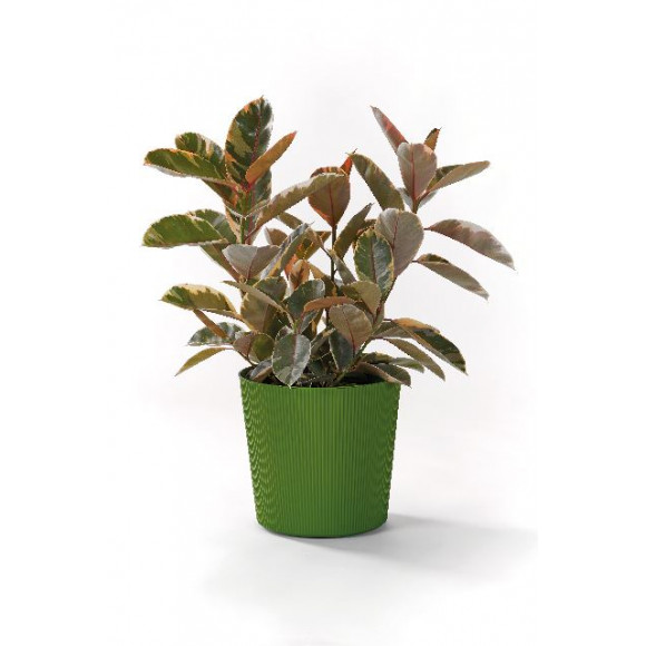 C/VASO FYRE GREENER 40CM C/RUOTE OLIVA