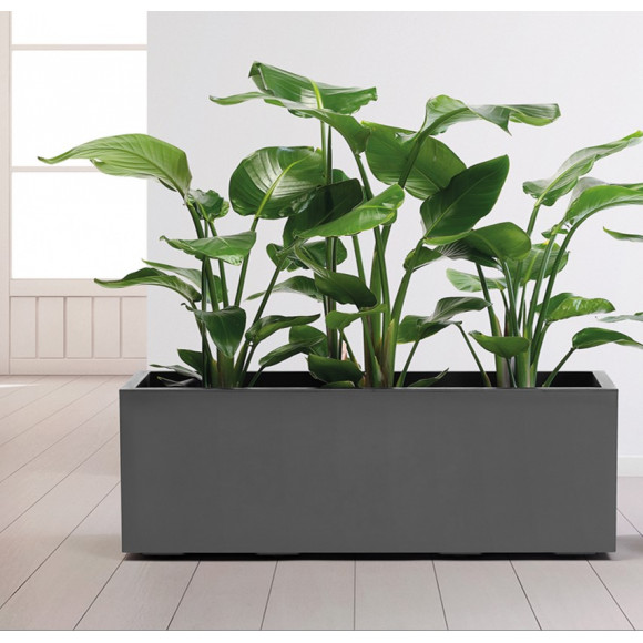 CASS. KEBE CM.100+RIS+RUO. TORT.