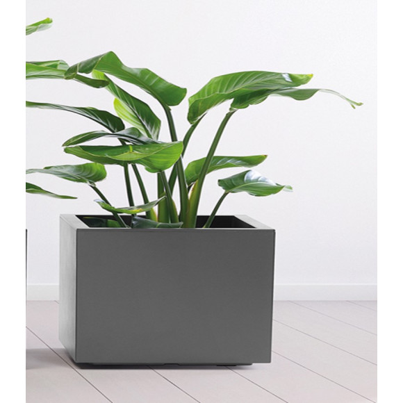 VASO KEBE CM.40+RIS+RUO. ANT