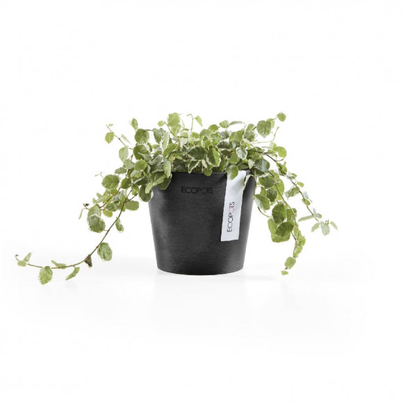 AMSTERDAM 10,5 CM  DARK GREY