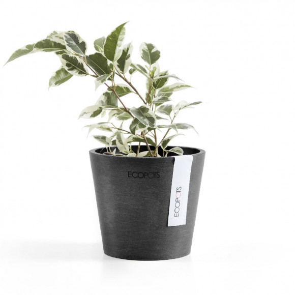 AMSTERDAM 10,5 CM  DARK GREY