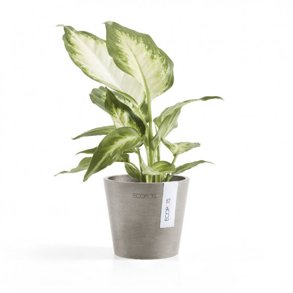 AMSTERDAM 10,5 CM  TAUPE