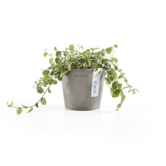 AMSTERDAM 10,5 CM  TAUPE