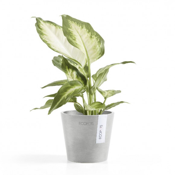 AMSTERDAM 10,5 CM WHITE GREY