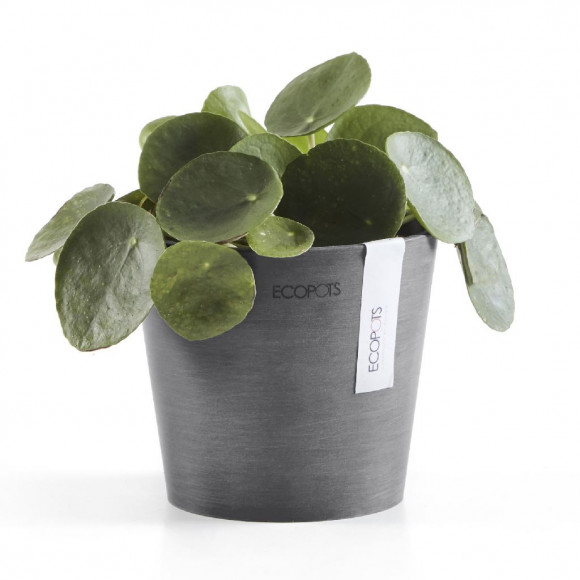 AMSTERDAM 13 CM  GREY