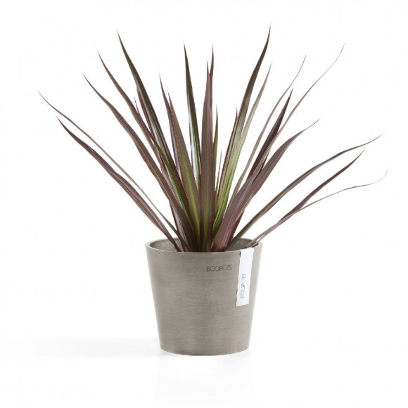 AMSTERDAM 13 CM  TAUPE