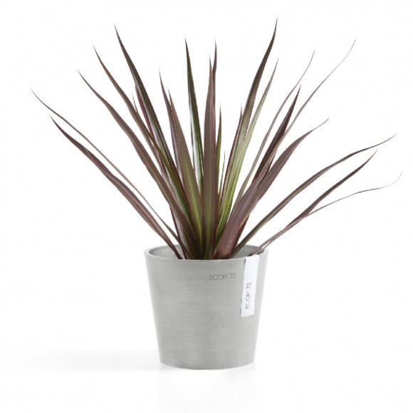 AMSTERDAM 13 CM  WHITE GREY