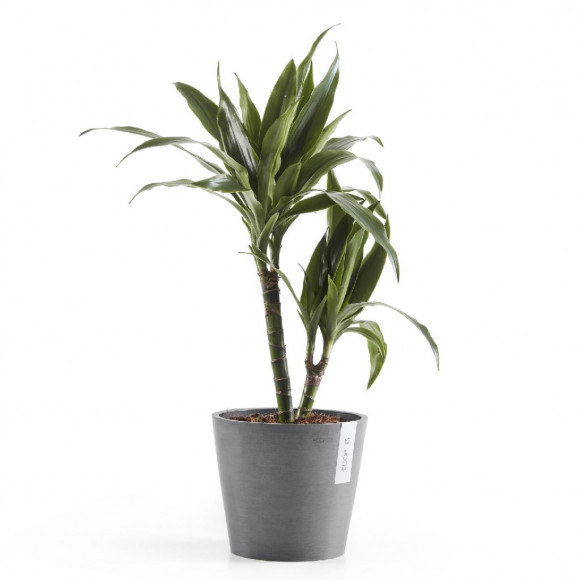 AMSTERDAM 20 CM  GREY