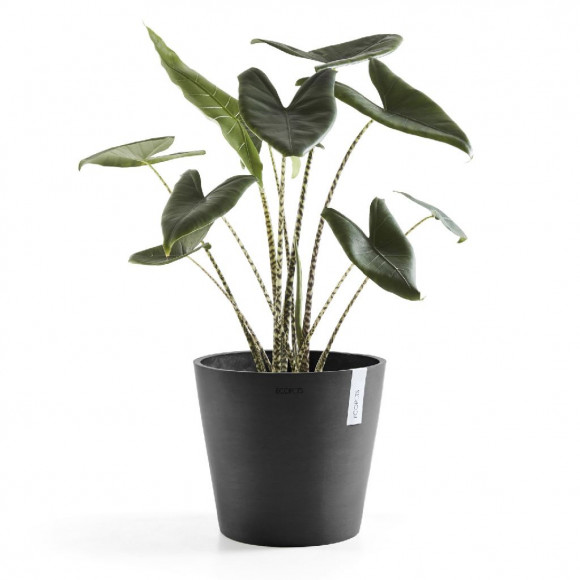 AMSTERDAM 25 CM  DARK GREY 2