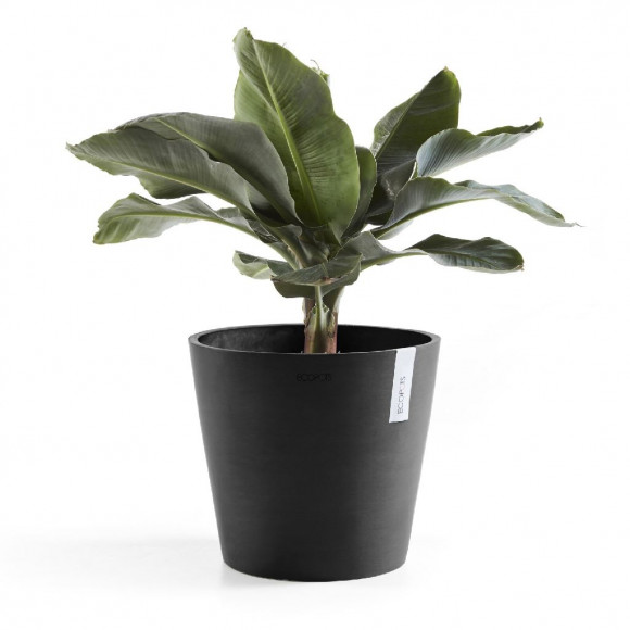 AMSTERDAM 25 CM  DARK GREY