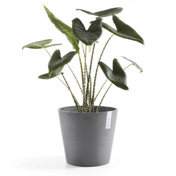 AMSTERDAM 25 CM  GREY