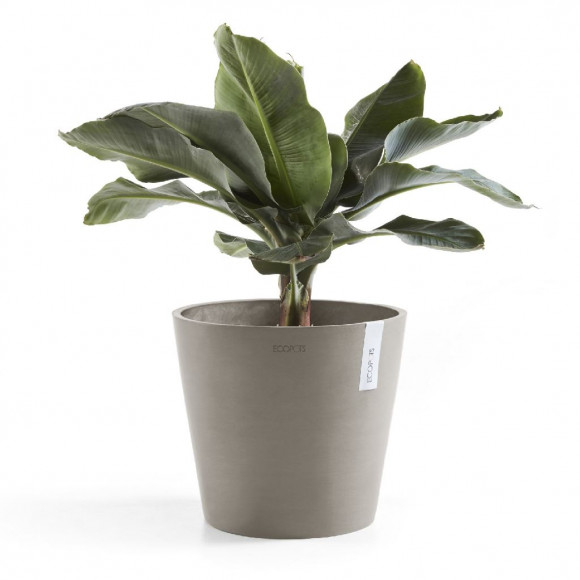 AMSTERDAM 25 CM  TAUPE