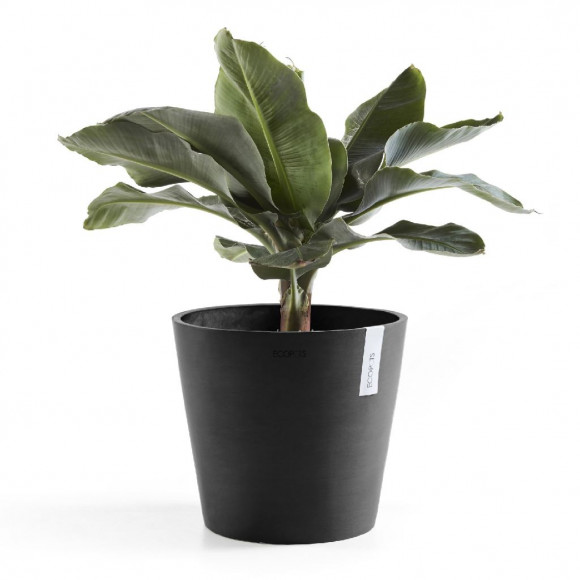 AMSTERDAM 30 CM  DARK GREY