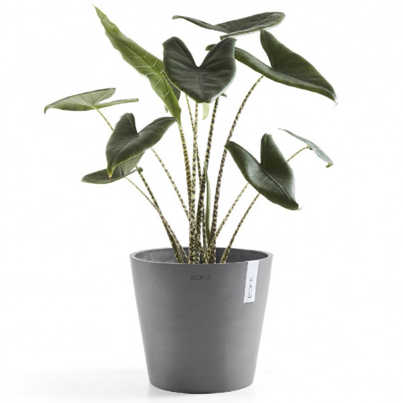 AMSTERDAM 30 CM  GREY 2