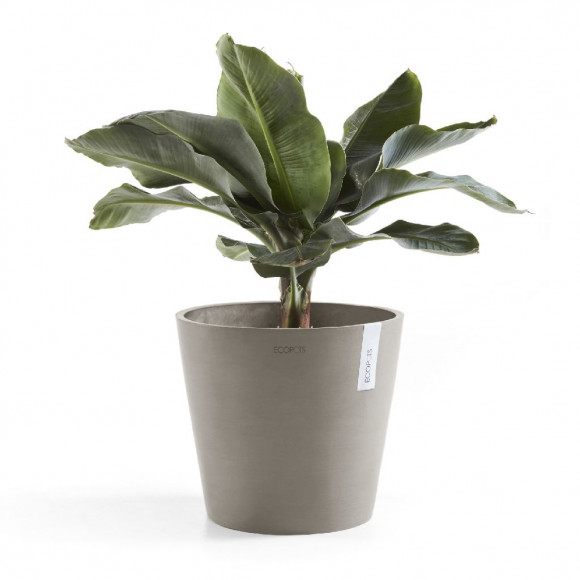 AMSTERDAM 30 CM  TAUPE