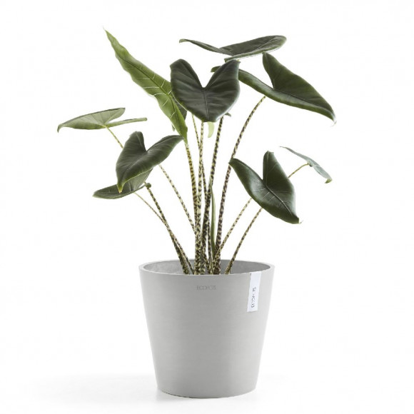 AMSTERDAM 30 CM  WHITE GREY