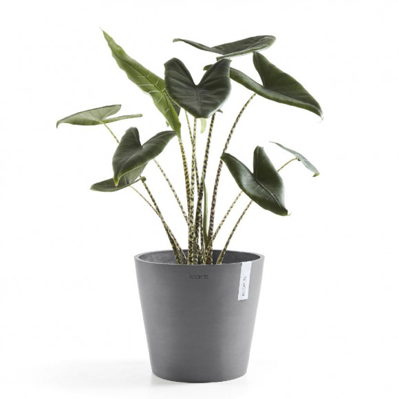 AMSTERDAM 40 CM  GREY