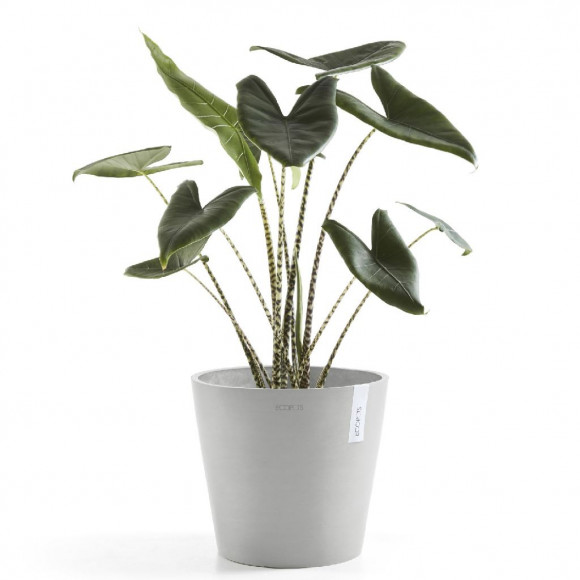 AMSTERDAM 40 CM  WHITE GREY 2