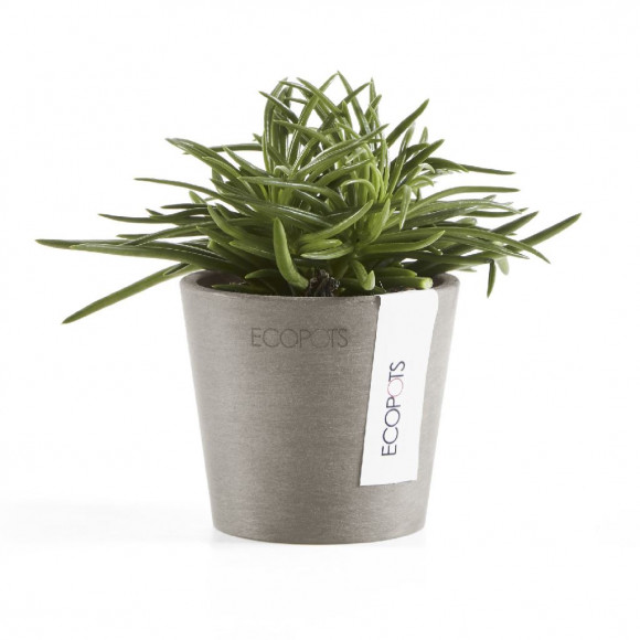 AMSTERDAM 8 CM  TAUPE 2