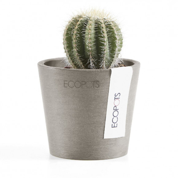 AMSTERDAM 8 CM  TAUPE