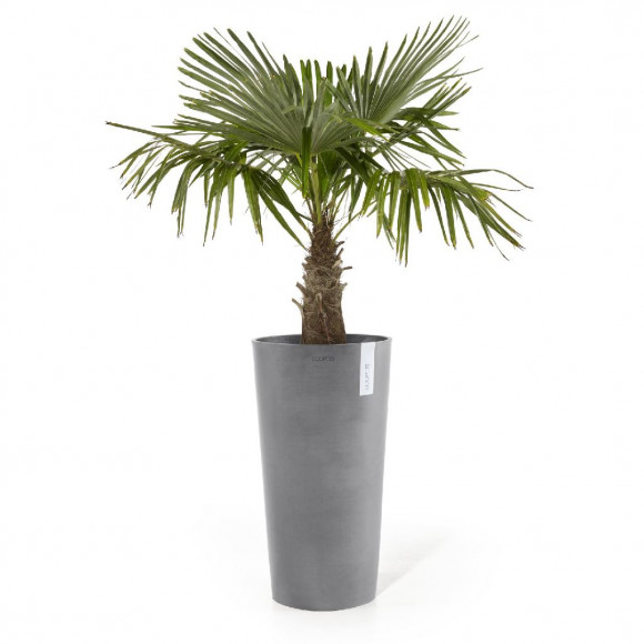 AMSTERDAM HIGH 70 CM  GREY