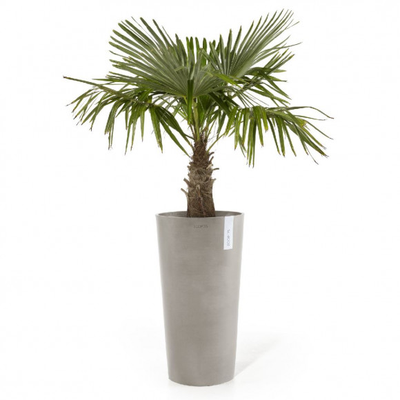 AMSTERDAM HIGH 70 CM  TAUPE