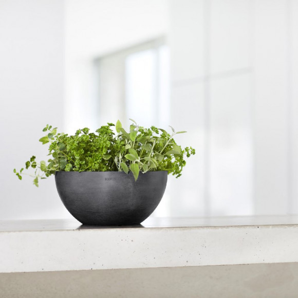 BRUSSELS 25 CM  DARK GREY