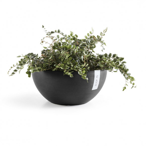 BRUSSELS 25 CM  DARK GREY 2