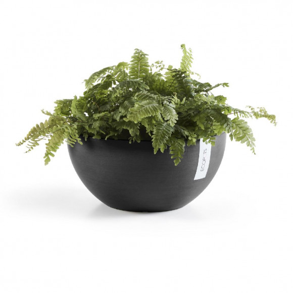 BRUSSELS 25 CM  DARK GREY