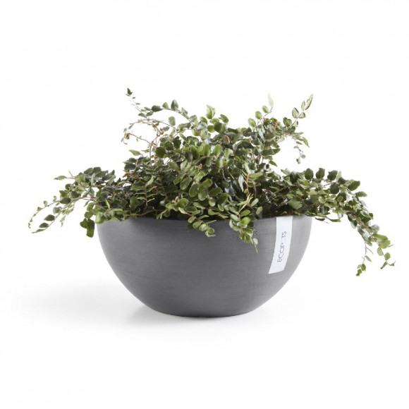 BRUSSELS 25 CM  GREY