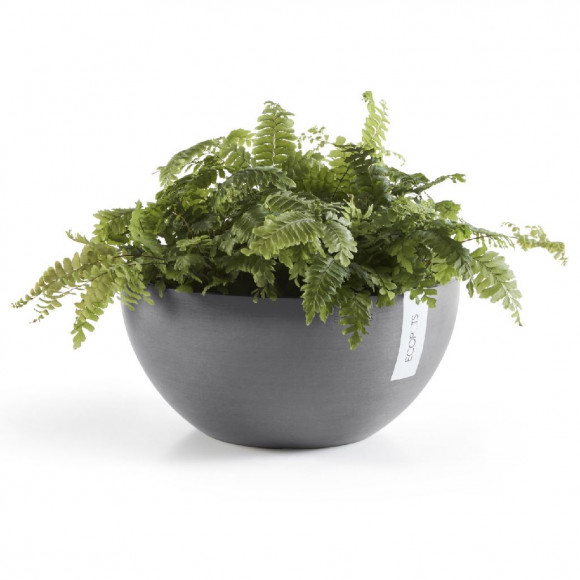 BRUSSELS 25 CM  GREY