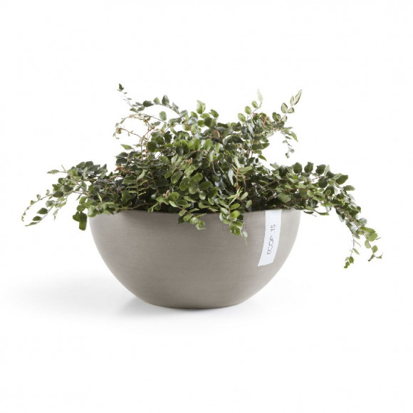 BRUSSELS 25 CM  TAUPE