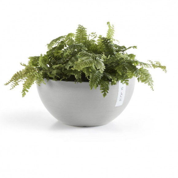 BRUSSELS 25 CM  WHITE GREY