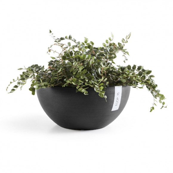 BRUSSELS 30 CM  DARK GREY