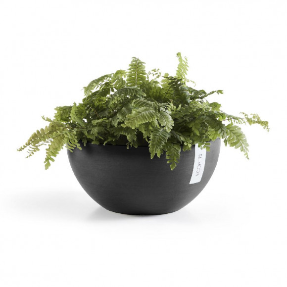 BRUSSELS 30 CM  DARK GREY