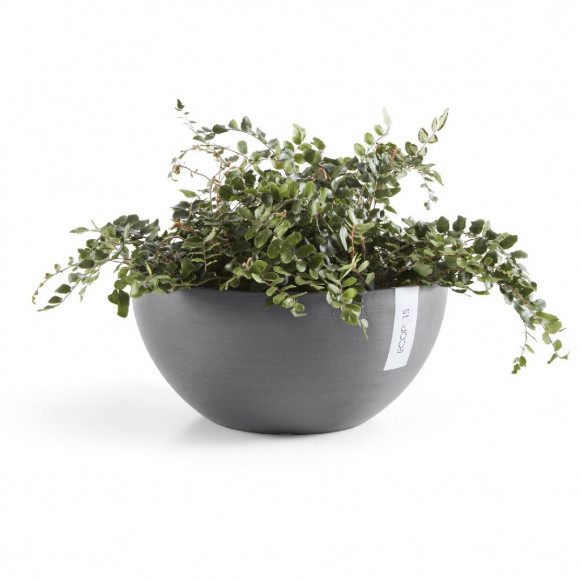 BRUSSELS 30 CM  GREY 2