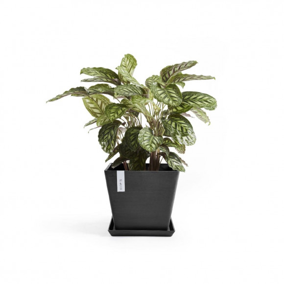 ROTTERDAM 30 CM  DARK GREY