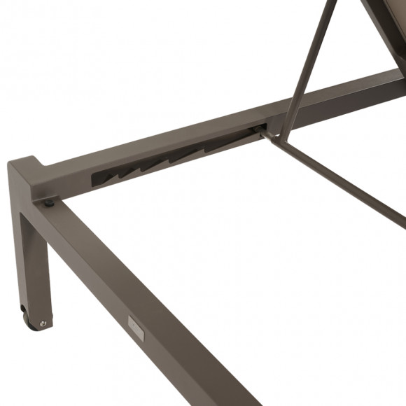 LETTINO ITAKA ALLU TAUPE TEXT KHAKI