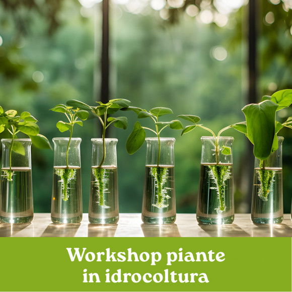 WORKSHOP PIANTE IN IDROCOLTURA